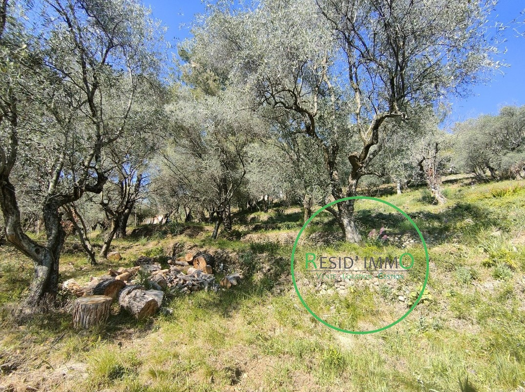 Vente Terrain à Saint-Martin-du-Var (06670) - Resid'Immo